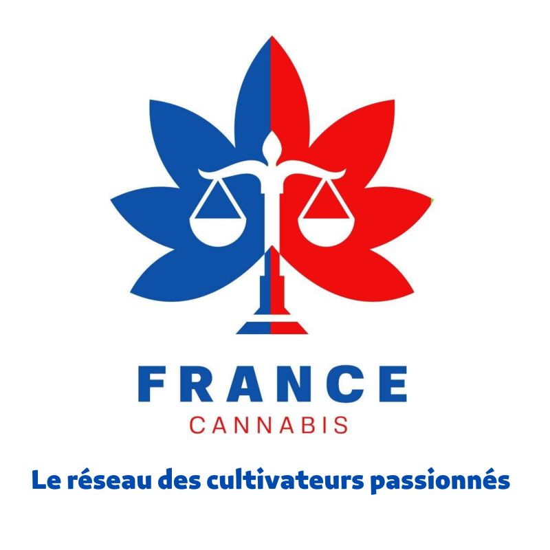 France Cannabis producteurs de chanvre